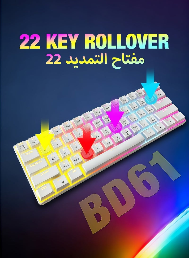 AOR Esports Keyboard, gaming keyboard, red axis, Arabic keycap, Arabic keyboard,  Type-C interface, 61 compact key design, white wired keyboard - Image 3